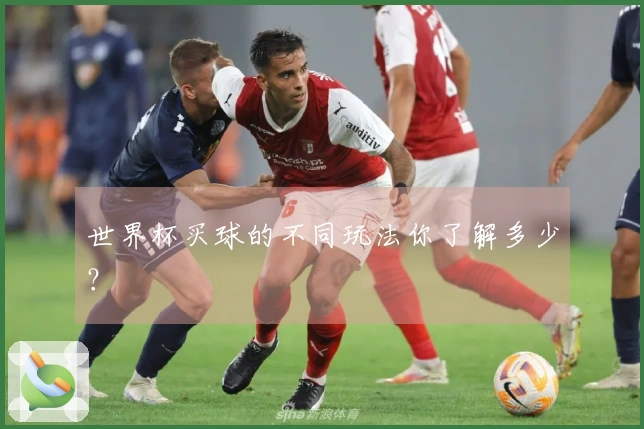 世界杯买球的不同玩法你了解多少？