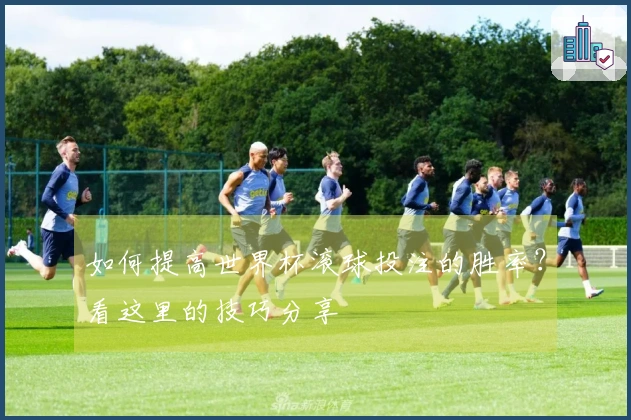 如何提高世界杯滚球投注的胜率？看这里的技巧分享