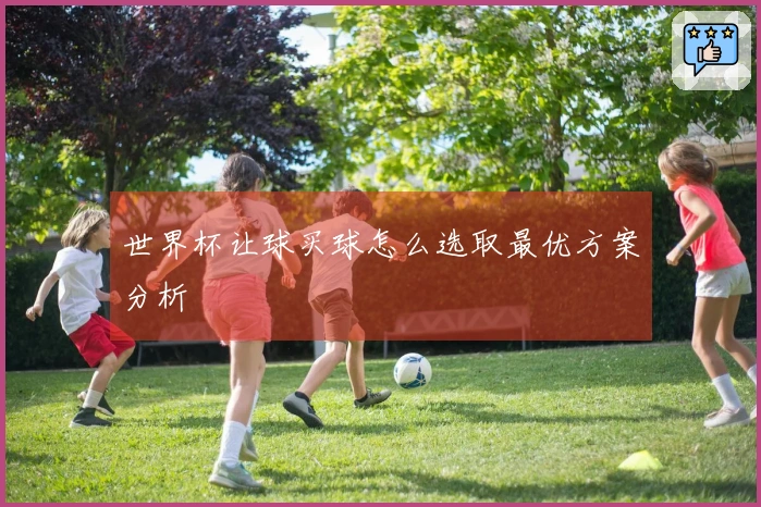 世界杯让球买球怎么选取最优方案分析