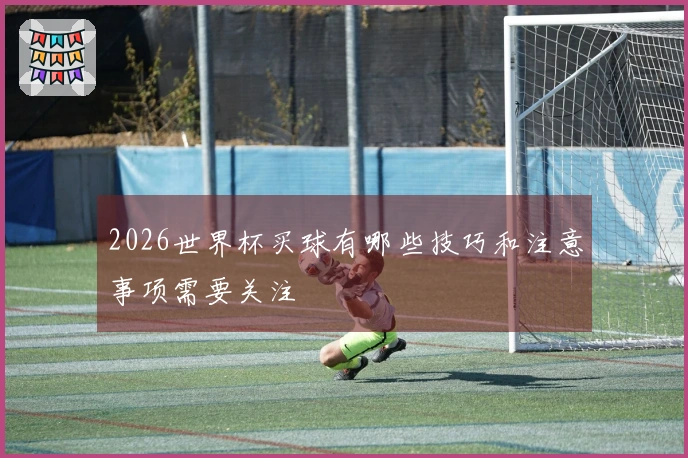 2026世界杯买球有哪些技巧和注意事项需要关注