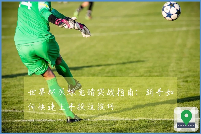 世界杯买球竞猜实战指南：新手如何快速上手投注技巧