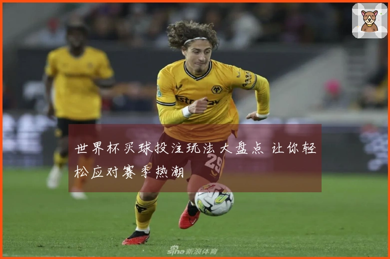 世界杯买球投注玩法大盘点 让你轻松应对赛季热潮