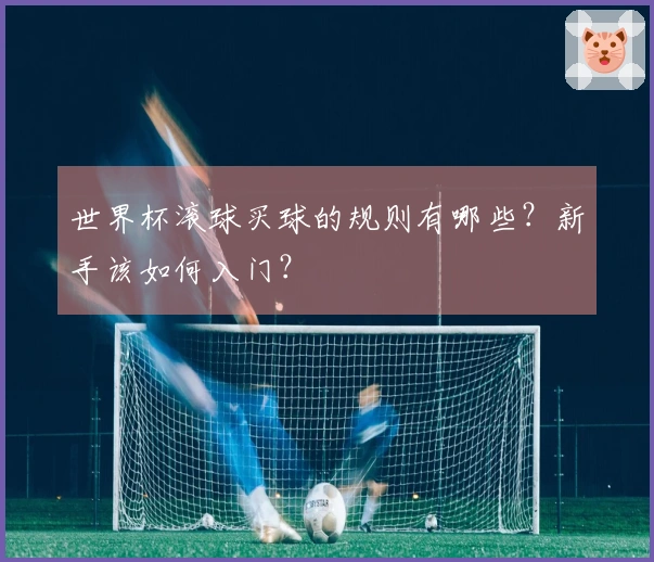 世界杯滚球买球的规则有哪些？新手该如何入门？