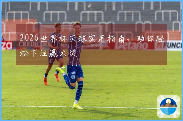 2026世界杯买球实用指南，助你轻松下注赢大奖