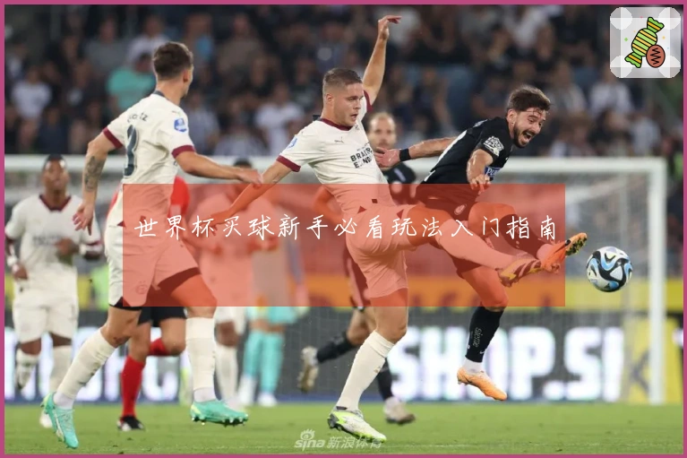 世界杯买球新手必看玩法入门指南