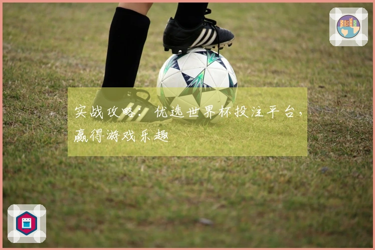 实战攻略：优选世界杯投注平台，赢得游戏乐趣