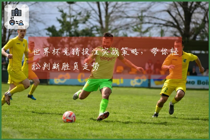 世界杯竞猜投注实战策略，带你轻松判断胜负走势
